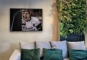 Plakat - Hokeista "Ice hockey"